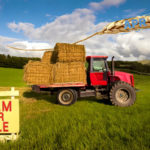 The Final Straw? – Key Changes to Agricultural and Business Property Relief (APR and BPR) and What They Mean for the Future of Farms